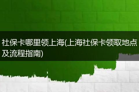 社保卡哪里领上海(上海社保卡领取地点及流程指南)