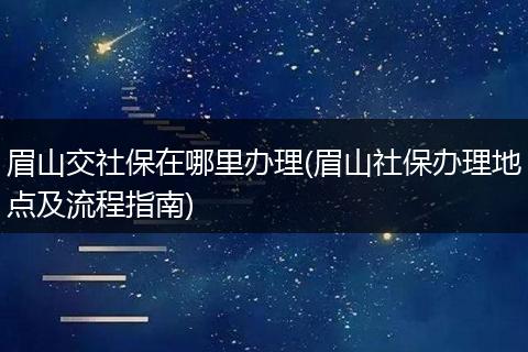 眉山交社保在哪里办理(眉山社保办理地点及流程指南)