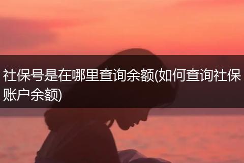 社保号是在哪里查询余额(如何查询社保账户余额)