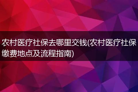 农村医疗社保去哪里交钱(农村医疗社保缴费地点及流程指南)