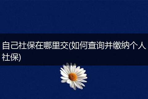 自己社保在哪里交(如何查询并缴纳个人社保)