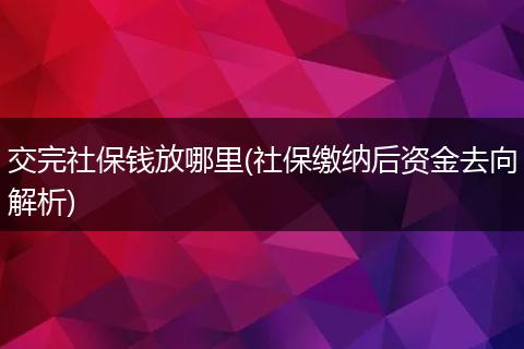 交完社保钱放哪里(社保缴纳后资金去向解析)