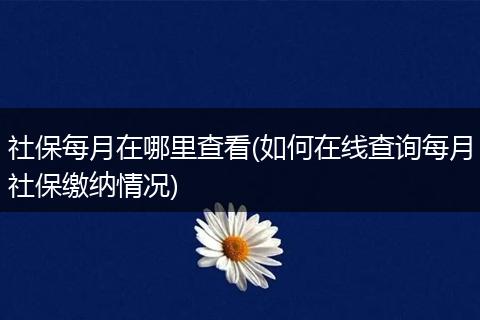 社保每月在哪里查看(如何在线查询每月社保缴纳情况)