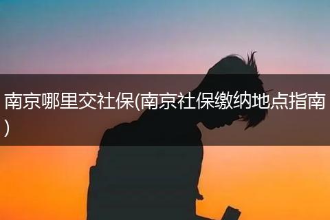 南京哪里交社保(南京社保缴纳地点指南)