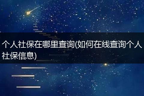 个人社保在哪里查询(如何在线查询个人社保信息)