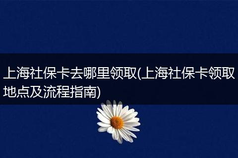 上海社保卡去哪里领取(上海社保卡领取地点及流程指南)