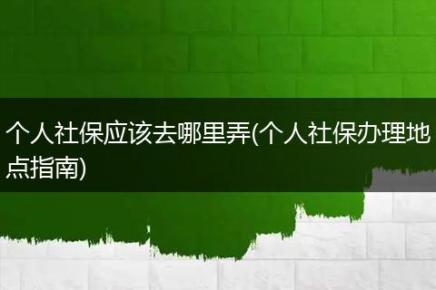 个人社保应该去哪里弄(个人社保办理地点指南)