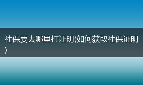 社保要去哪里打证明(如何获取社保证明)