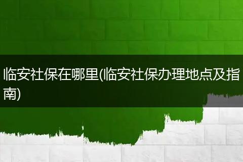 临安社保在哪里(临安社保办理地点及指南)