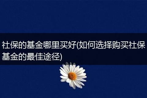 社保的基金哪里买好(如何选择购买社保基金的最佳途径)
