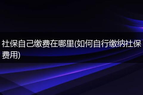 社保自己缴费在哪里(如何自行缴纳社保费用)