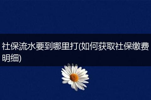 社保流水要到哪里打(如何获取社保缴费明细)