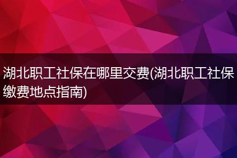 湖北职工社保在哪里交费(湖北职工社保缴费地点指南)