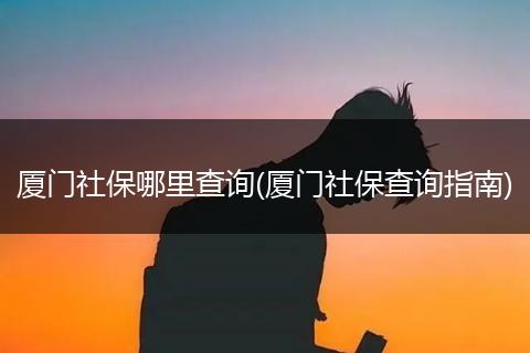厦门社保哪里查询(厦门社保查询指南)