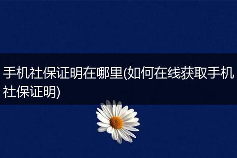 手机社保证明在哪里(如何在线获取手机社保证明)