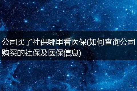 公司买了社保哪里看医保(如何查询公司购买的社保及医保信息)