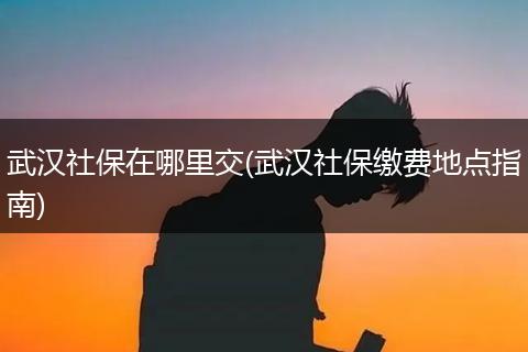 武汉社保在哪里交(武汉社保缴费地点指南)