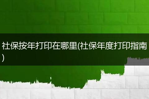 社保按年打印在哪里(社保年度打印指南)