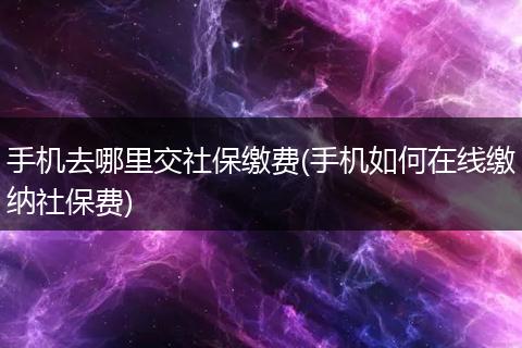 手机去哪里交社保缴费(手机如何在线缴纳社保费)