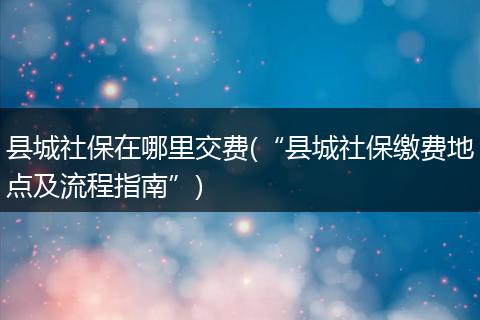 县城社保在哪里交费(“县城社保缴费地点及流程指南”)