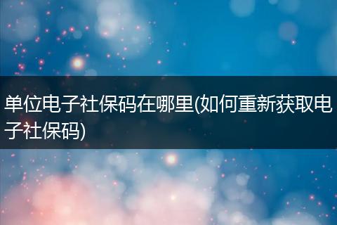 单位电子社保码在哪里(如何重新获取电子社保码)
