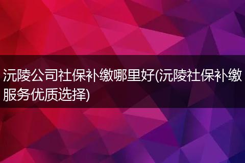 沅陵公司社保补缴哪里好(沅陵社保补缴服务优质选择)