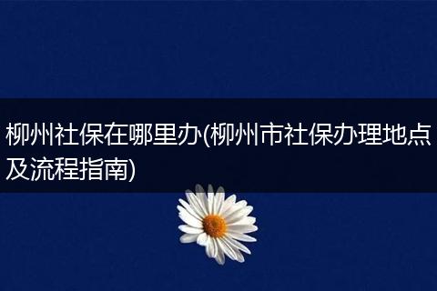 柳州社保在哪里办(柳州市社保办理地点及流程指南)