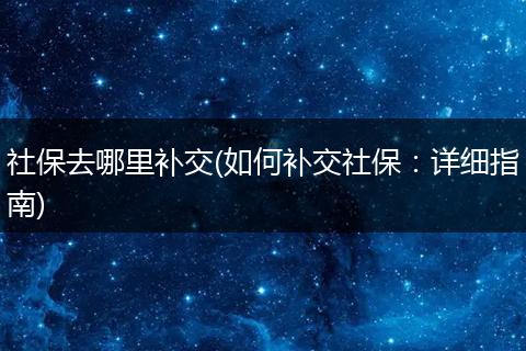 社保去哪里补交(如何补交社保：详细指南)