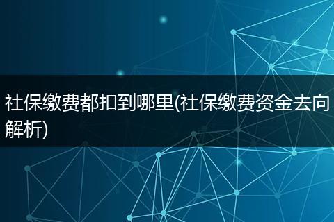 社保缴费都扣到哪里(社保缴费资金去向解析)