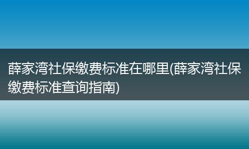 薛家湾社保缴费标准在哪里(薛家湾社保缴费标准查询指南)