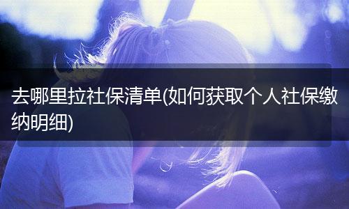 去哪里拉社保清单(如何获取个人社保缴纳明细)