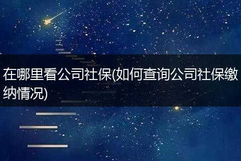在哪里看公司社保(如何查询公司社保缴纳情况)