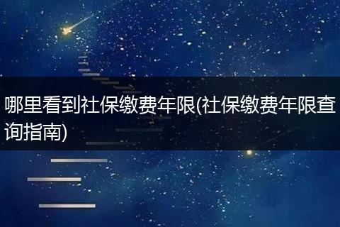 哪里看到社保缴费年限(社保缴费年限查询指南)