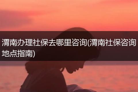 渭南办理社保去哪里咨询(渭南社保咨询地点指南)