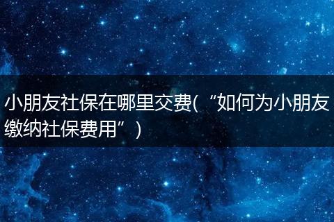 小朋友社保在哪里交费(“如何为小朋友缴纳社保费用”)