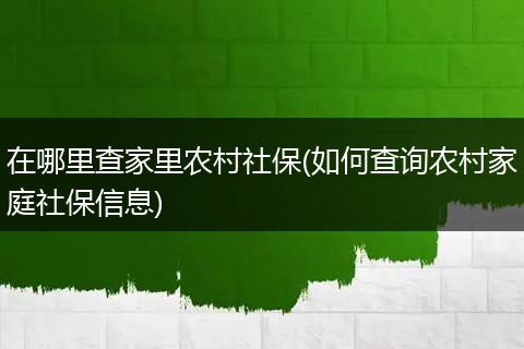 在哪里查家里农村社保(如何查询农村家庭社保信息)