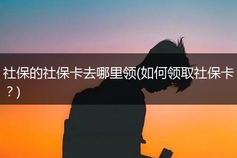 社保的社保卡去哪里领(如何领取社保卡？)