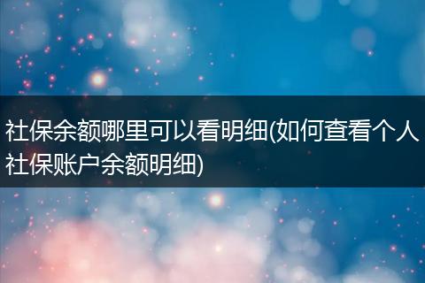 社保余额哪里可以看明细(如何查看个人社保账户余额明细)