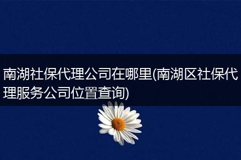 南湖社保代理公司在哪里(南湖区社保代理服务公司位置查询)