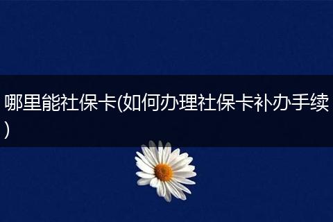 哪里能社保卡(如何办理社保卡补办手续)