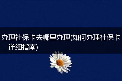 办理社保卡去哪里办理(如何办理社保卡：详细指南)