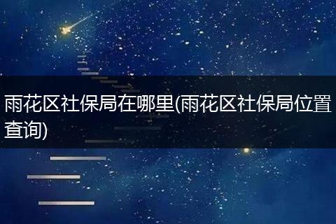 雨花区社保局在哪里(雨花区社保局位置查询)