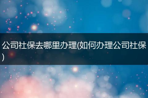 公司社保去哪里办理(如何办理公司社保)