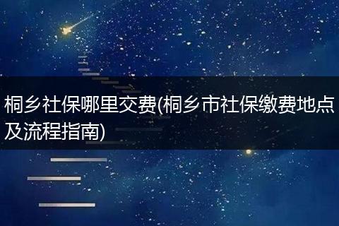 桐乡社保哪里交费(桐乡市社保缴费地点及流程指南)