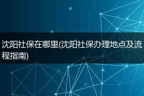 沈阳社保在哪里(沈阳社保办理地点及流程指南)