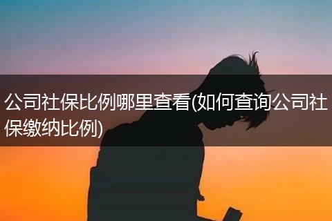公司社保比例哪里查看(如何查询公司社保缴纳比例)