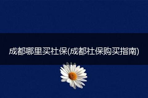 成都哪里买社保(成都社保购买指南)