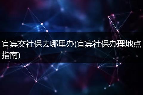 宜宾交社保去哪里办(宜宾社保办理地点指南)