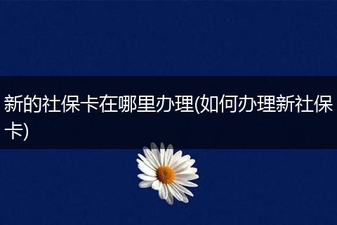 新的社保卡在哪里办理(如何办理新社保卡)
