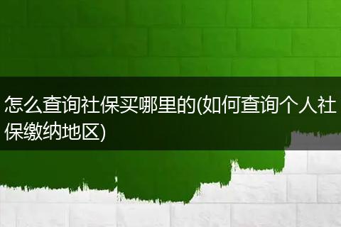 怎么查询社保买哪里的(如何查询个人社保缴纳地区)